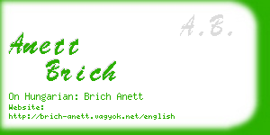 anett brich business card